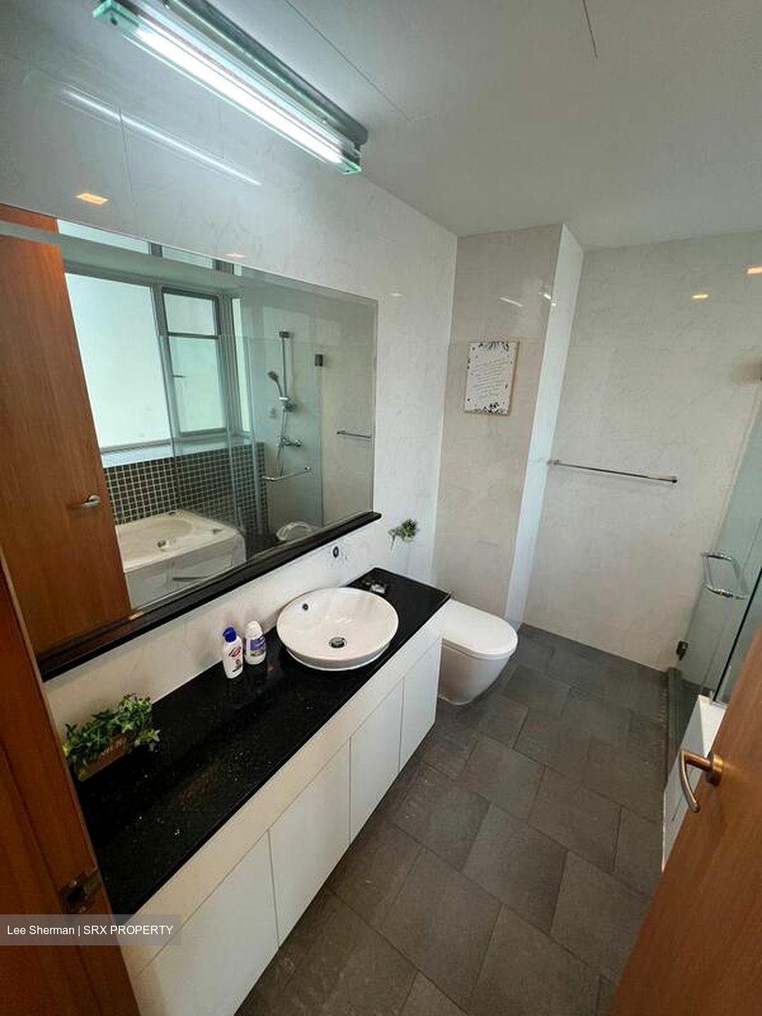 The Jade (D23), Condominium #513556281